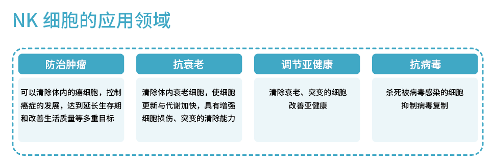 NK细胞的应用领域.png