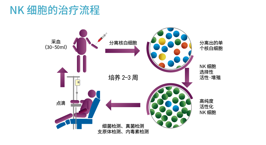 NK 细胞的治疗流程.png