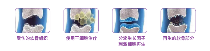 微信图片_20260602124345_72_2.png