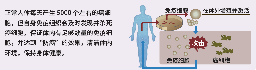 微信图片_20260602131312_75_2.png