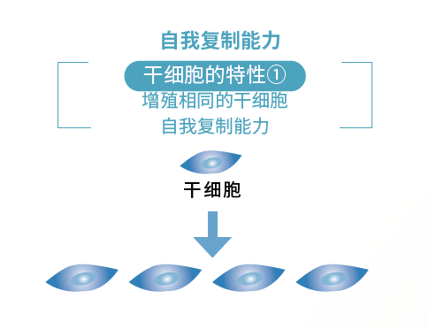 微信图片_20260602132922_78_2.png