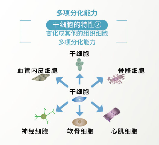 微信图片_20260602132922_79_2.png