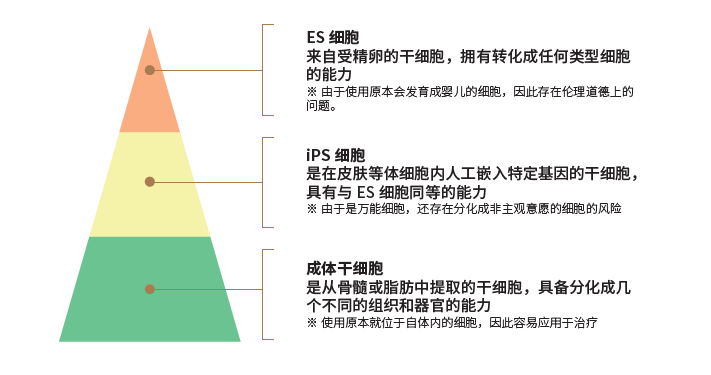 微信图片_20260602133801_82_2.png