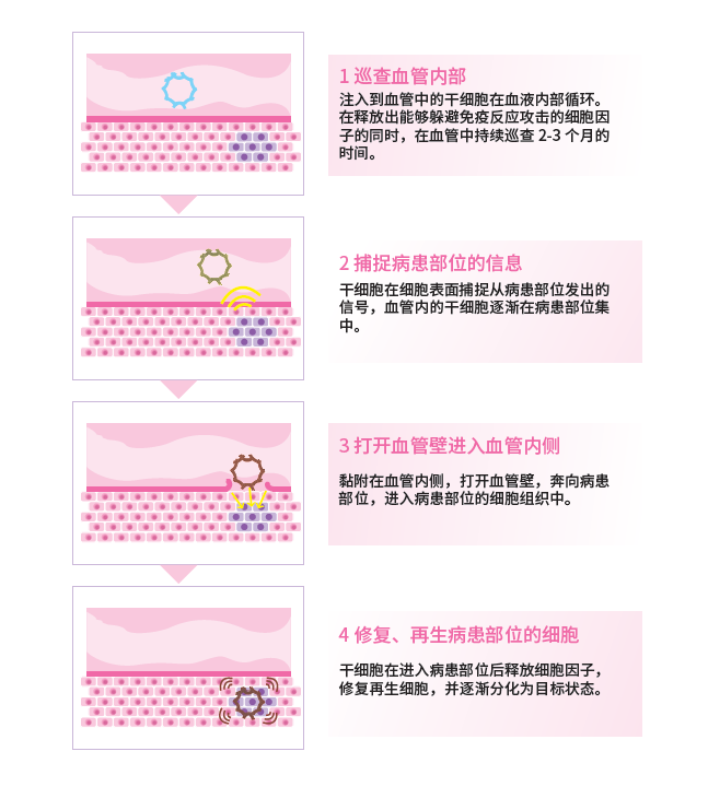 微信图片_20260602133801_83_2.png