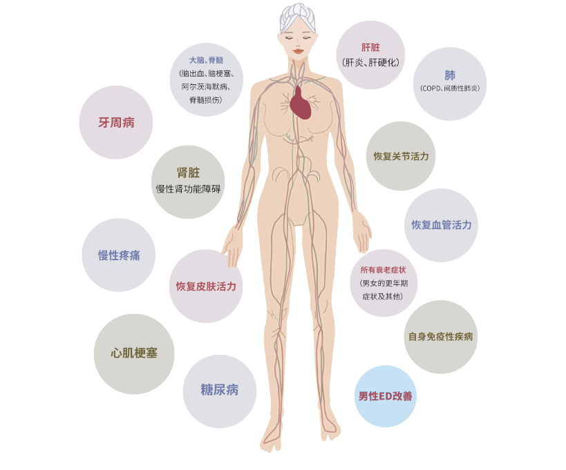微信图片_20260602133801_84_2.png