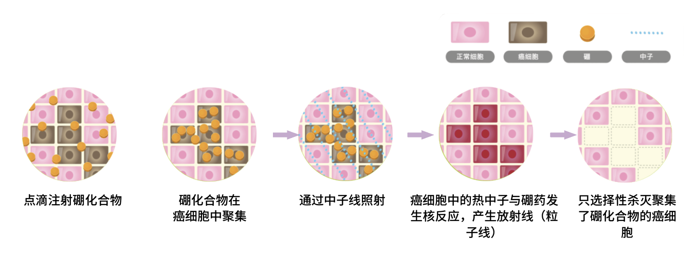 微信图片_20260602215452_92_2.png