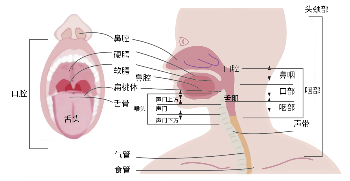微信图片_20260602215409_91_2.png