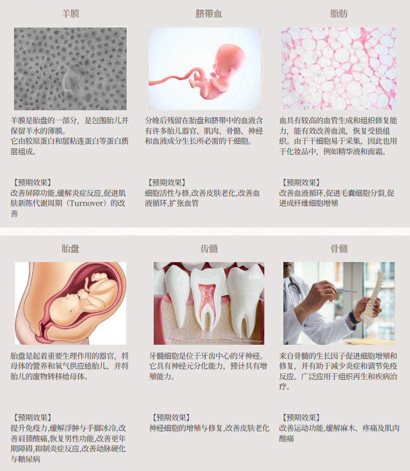 微信图片_20260603204404_118_2.png
