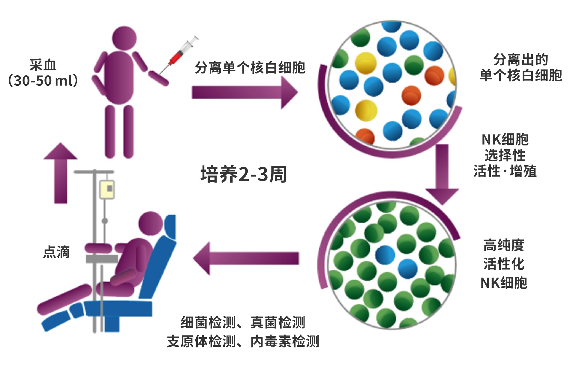 NK细胞疗法流程图.jpg