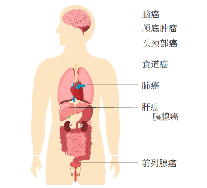 微信图片_20260604104044_153_9.png