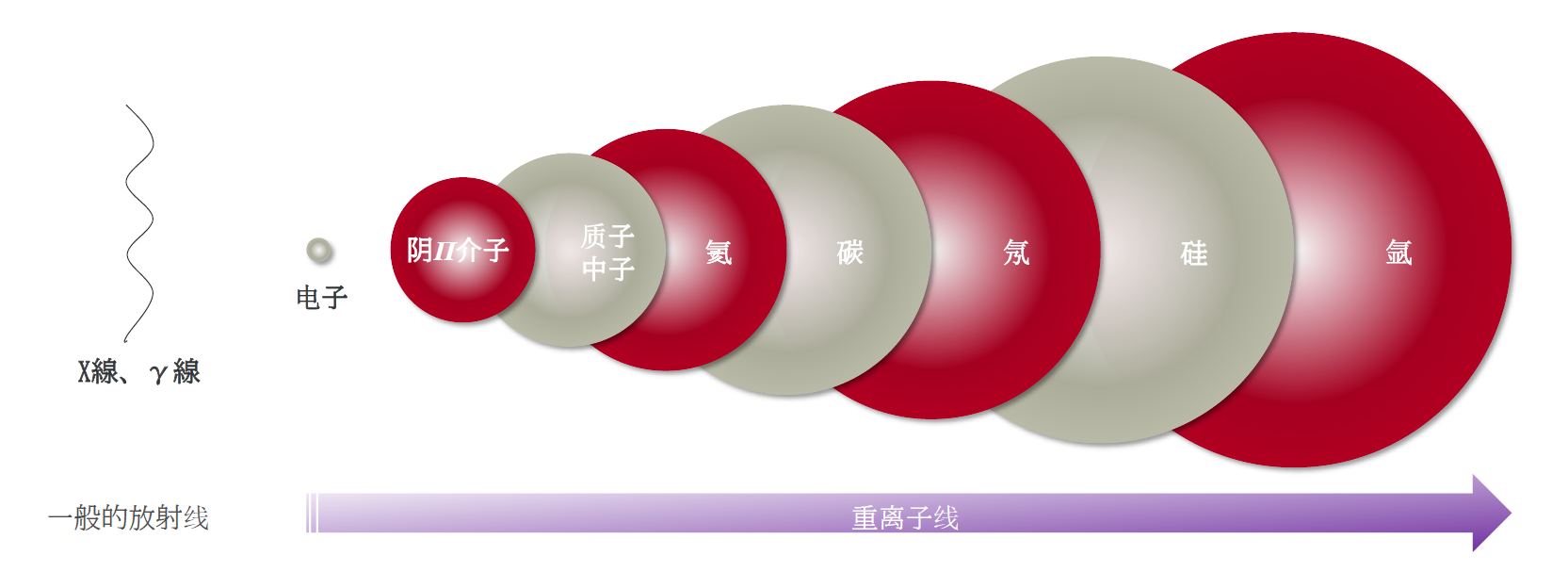 微信图片_20260604104303_159_9.png