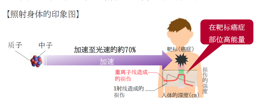 微信图片_20260604104433_163_9.png