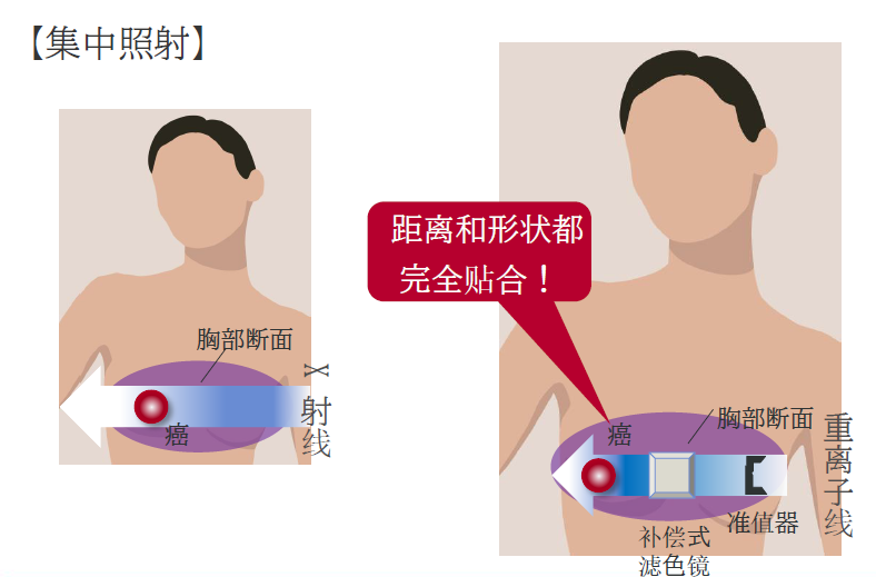 微信图片_20260604104457_164_9.png