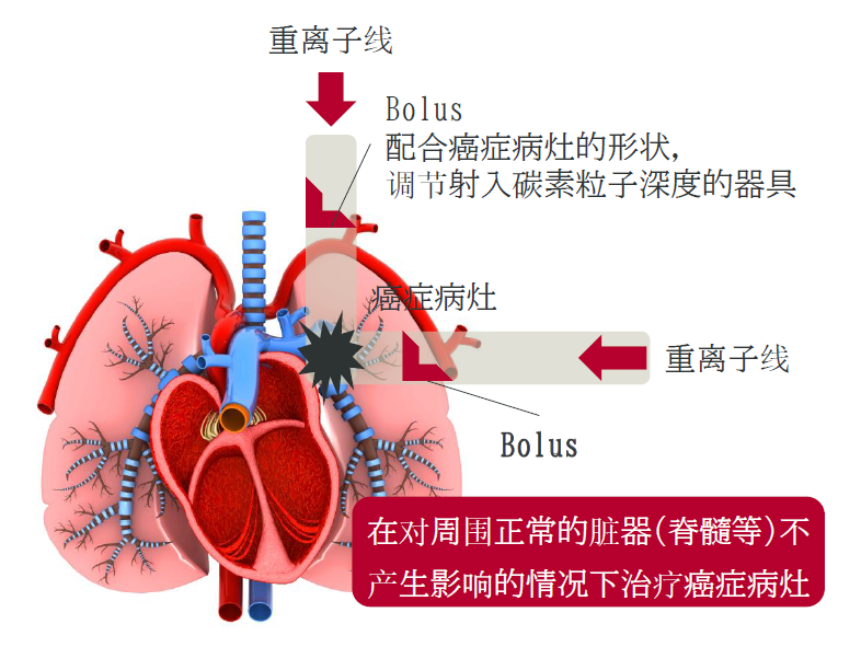 微信图片_20260604104537_168_9.png