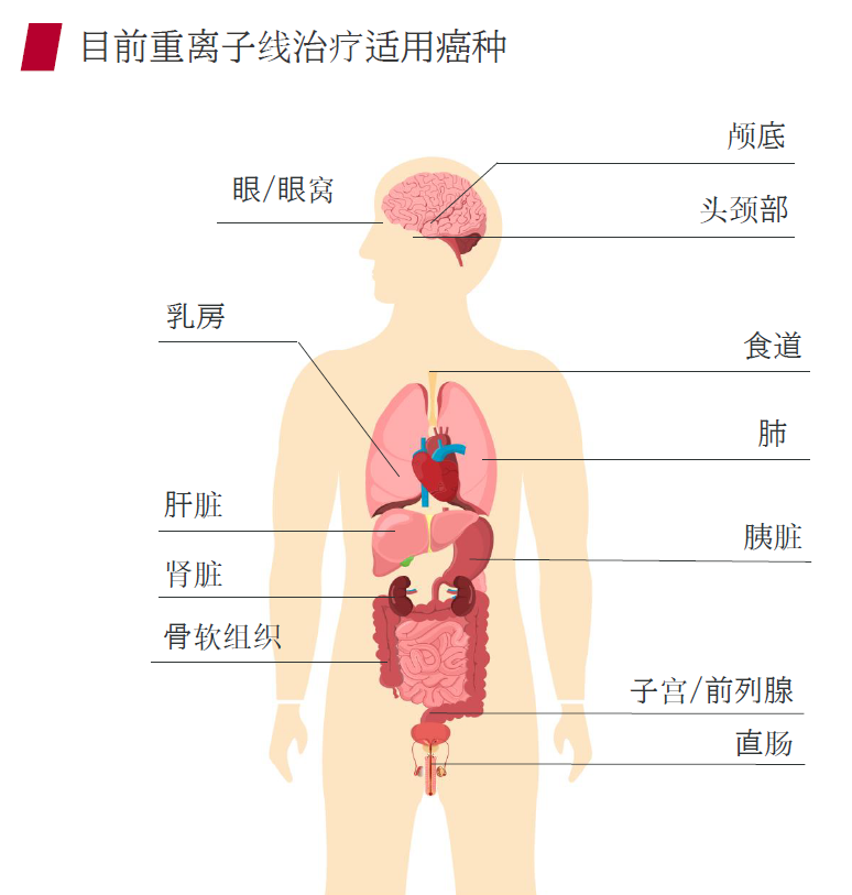 微信图片_20260604104615_170_9.png