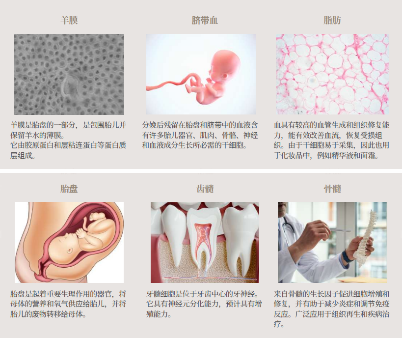 微信图片_20260603204404_118_2 拷贝.png