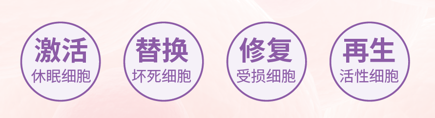 干细胞的作用机制.png